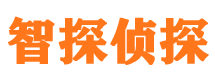 洱源市私家侦探